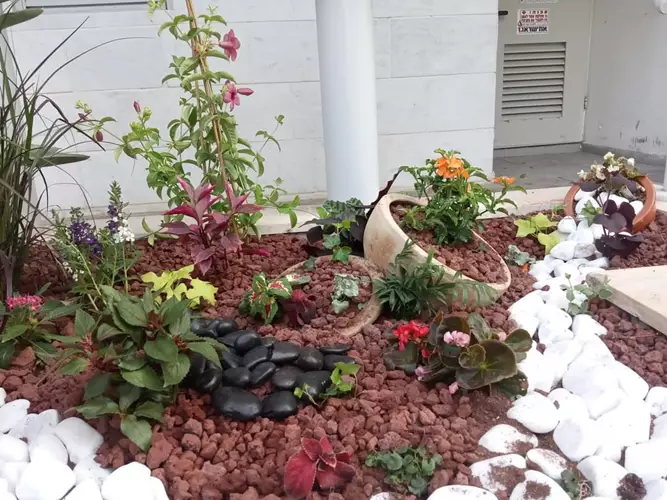 הקמת גינת בניין